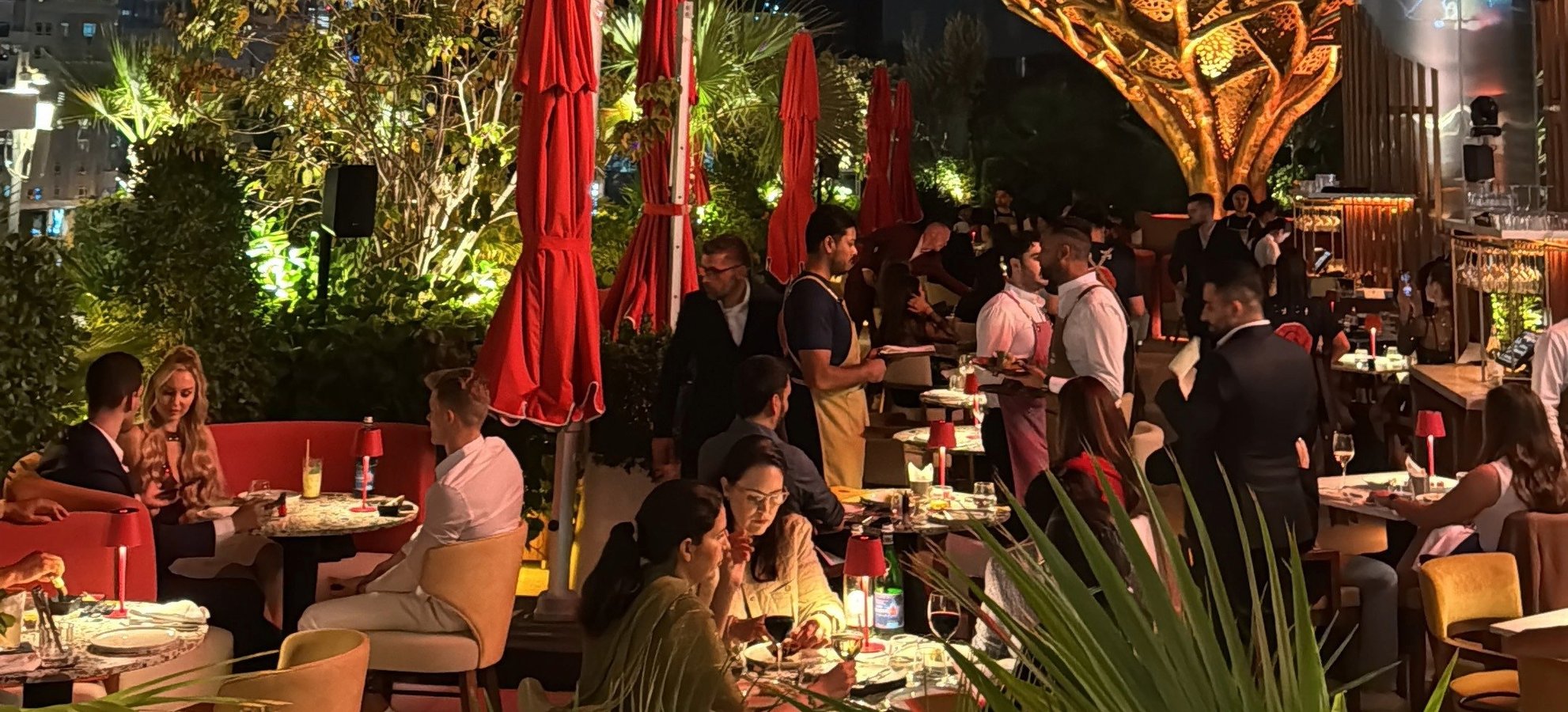 7D2ACDB1-EB3D-4F25-A9CF-865F0357AF5D (1)