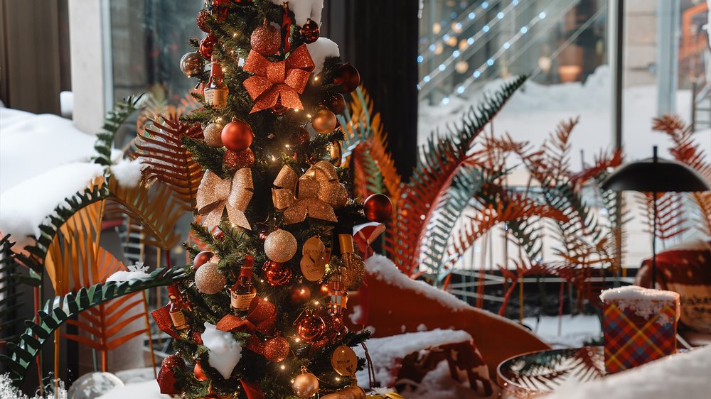 DW Christmas snow image copy